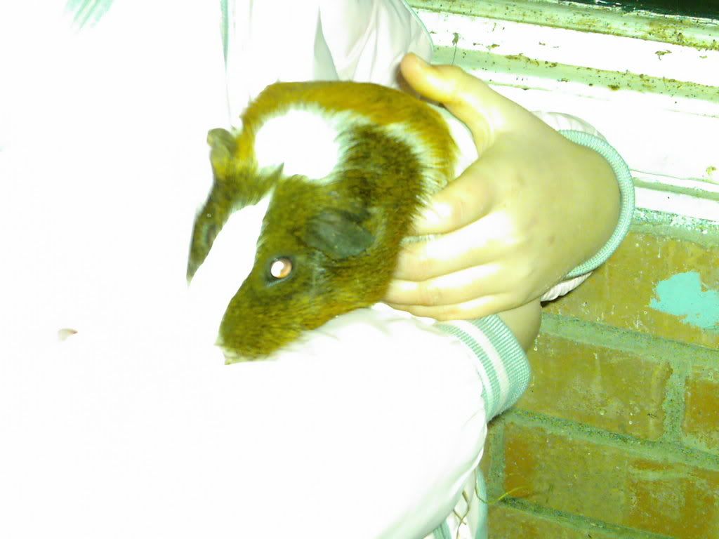 Picture061.jpg