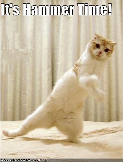 funny_pictures_cat_does_dance_Funny_pics_yo-s425x562-57901-580_zps10499b77.jpg