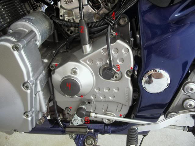 Imagen003bis.jpg