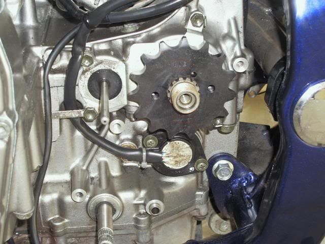 Imagen010bis.jpg
