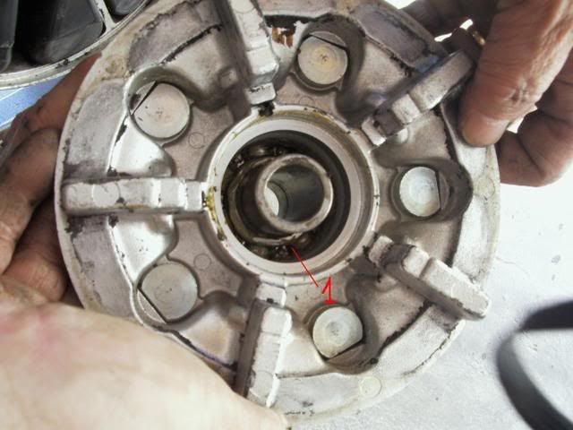 Imagen018bis.jpg