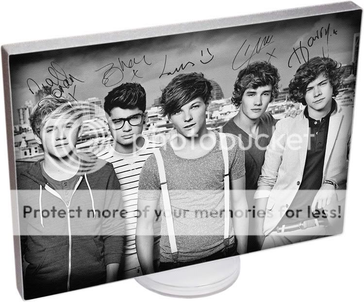   Direction Signed Canvas mounted on a display with stand. 1D Autographs